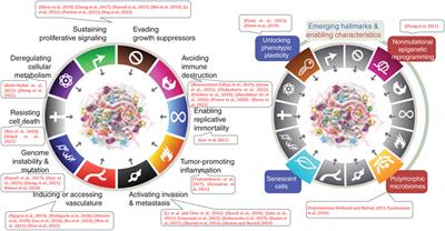 How organ-on-a-chip is advancing cancer research and oncology - a cancer hallmarks’ perspective